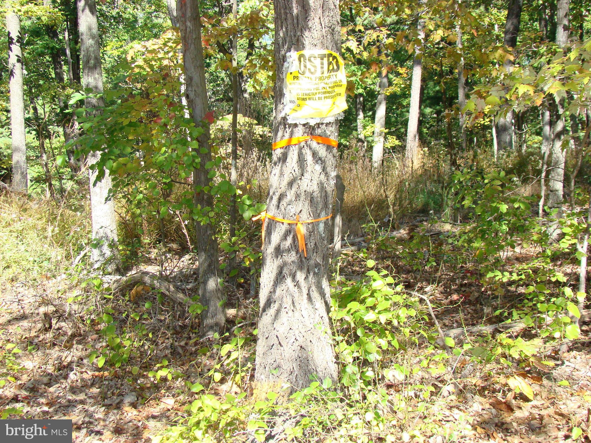 NONE AVAILABLE - Land