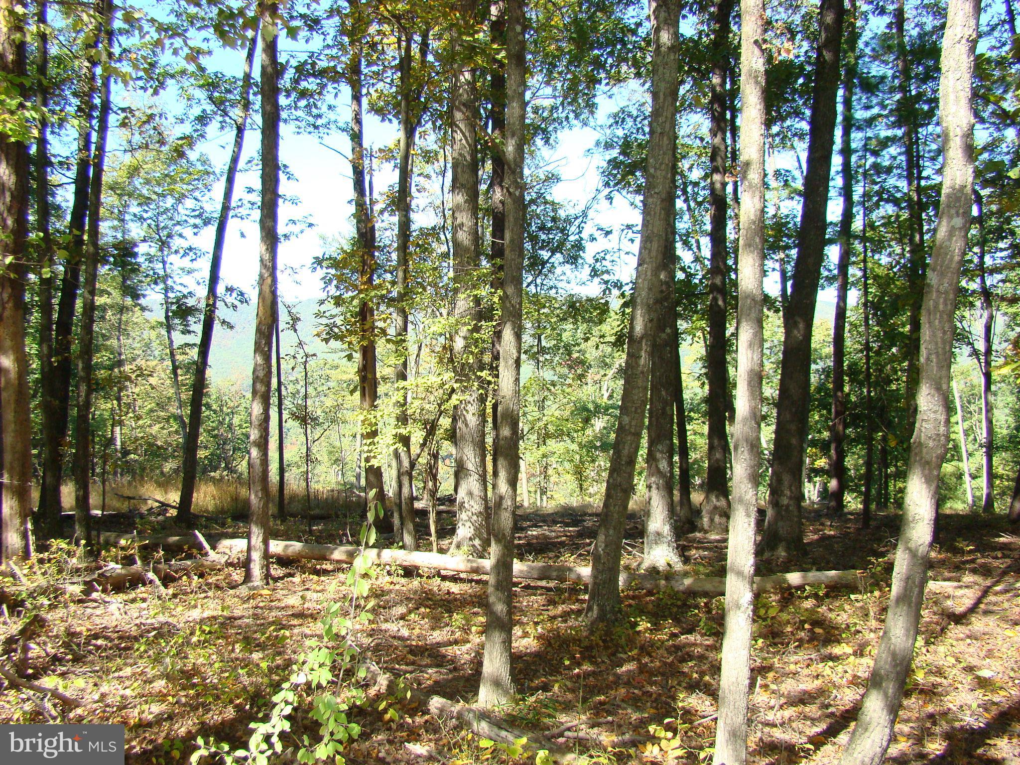 NONE AVAILABLE - Land