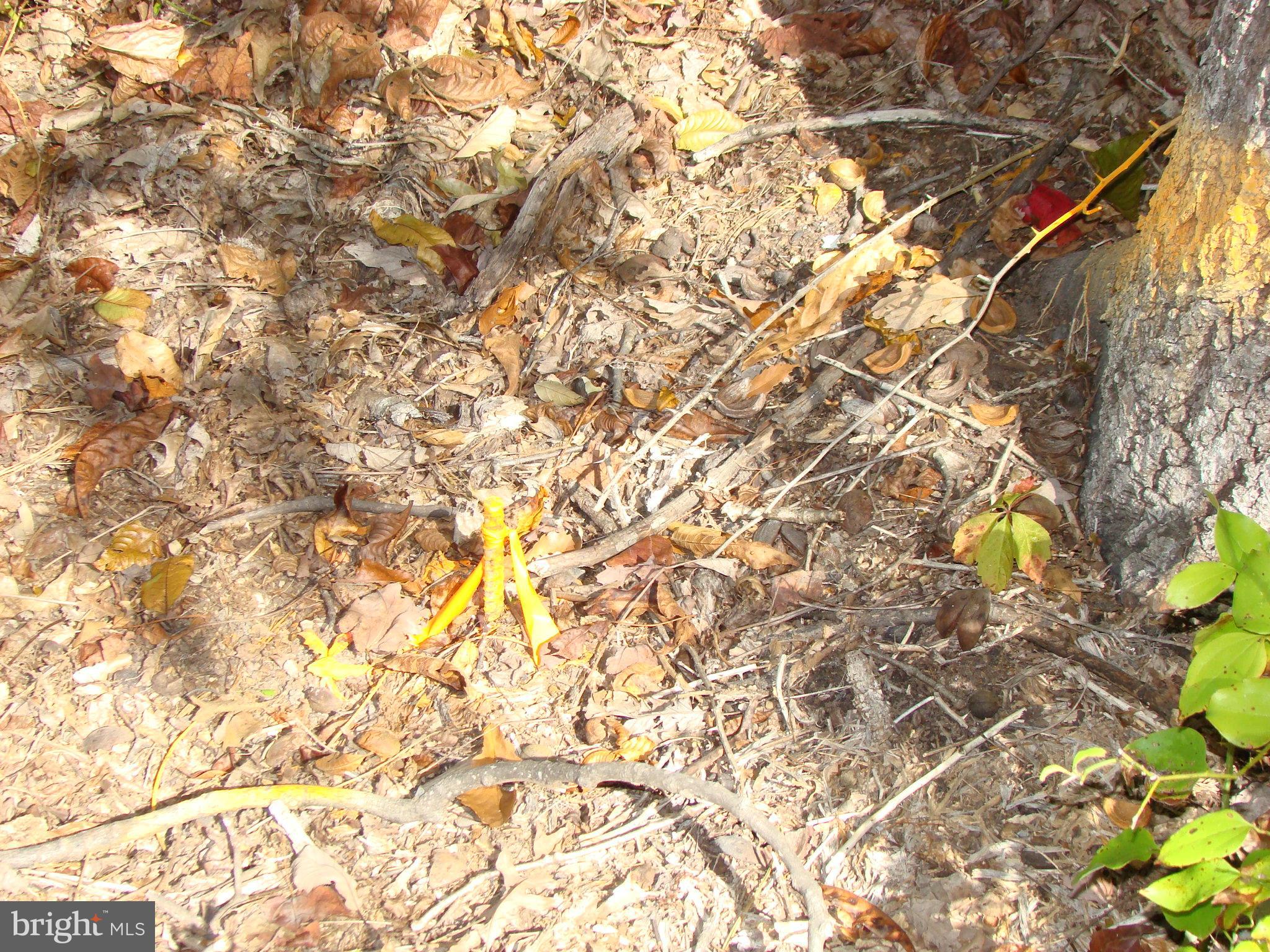 NONE AVAILABLE - Land