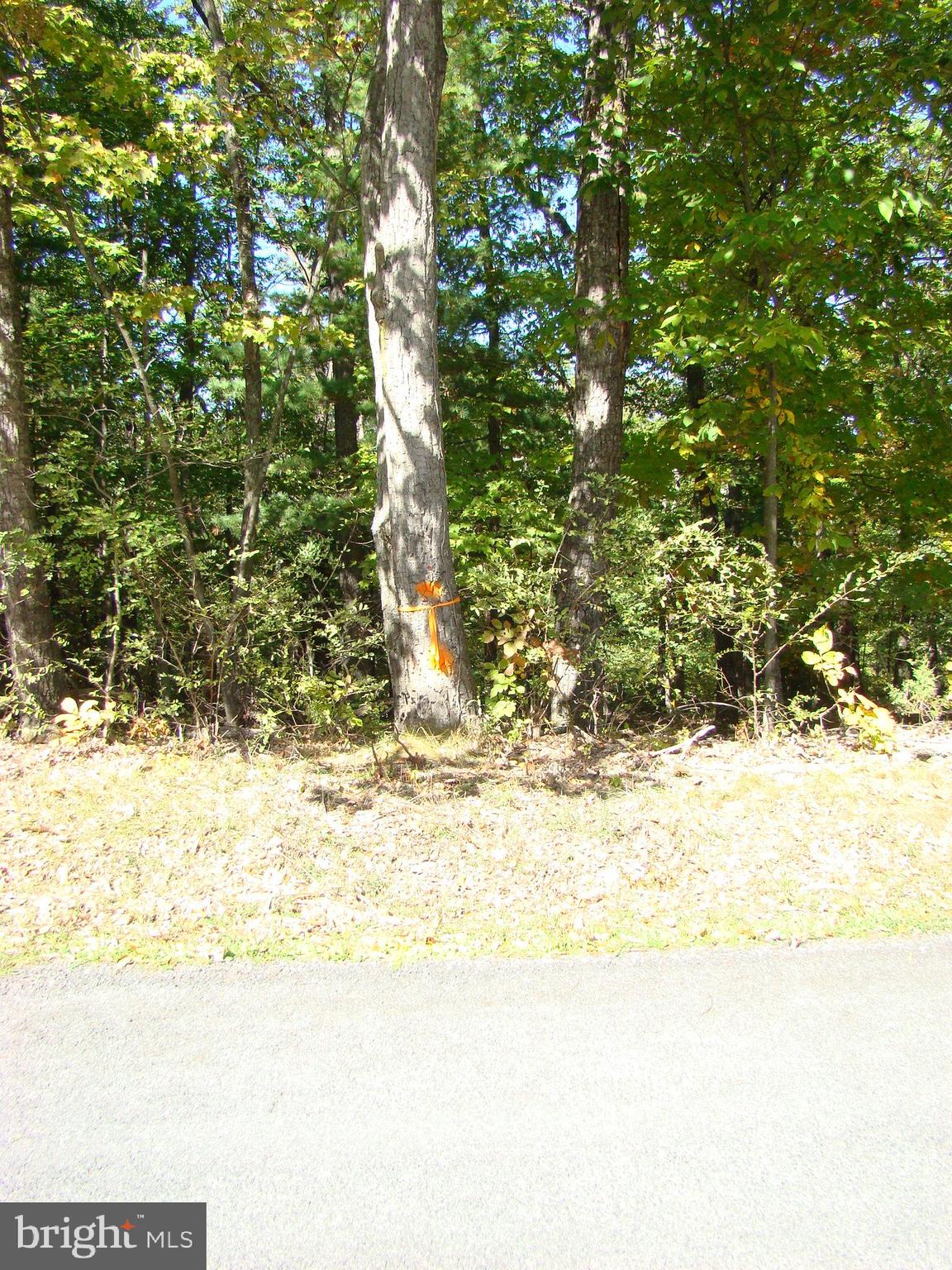 NONE AVAILABLE - Land