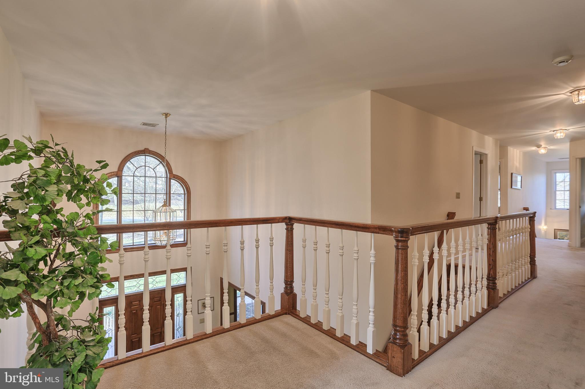 WALTON SPRING HILLS - Residential