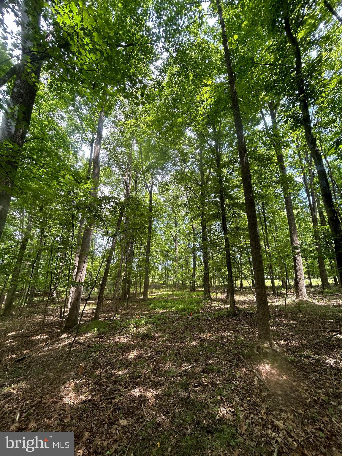SLEEPY CREEK MTN RETREAT - Land
