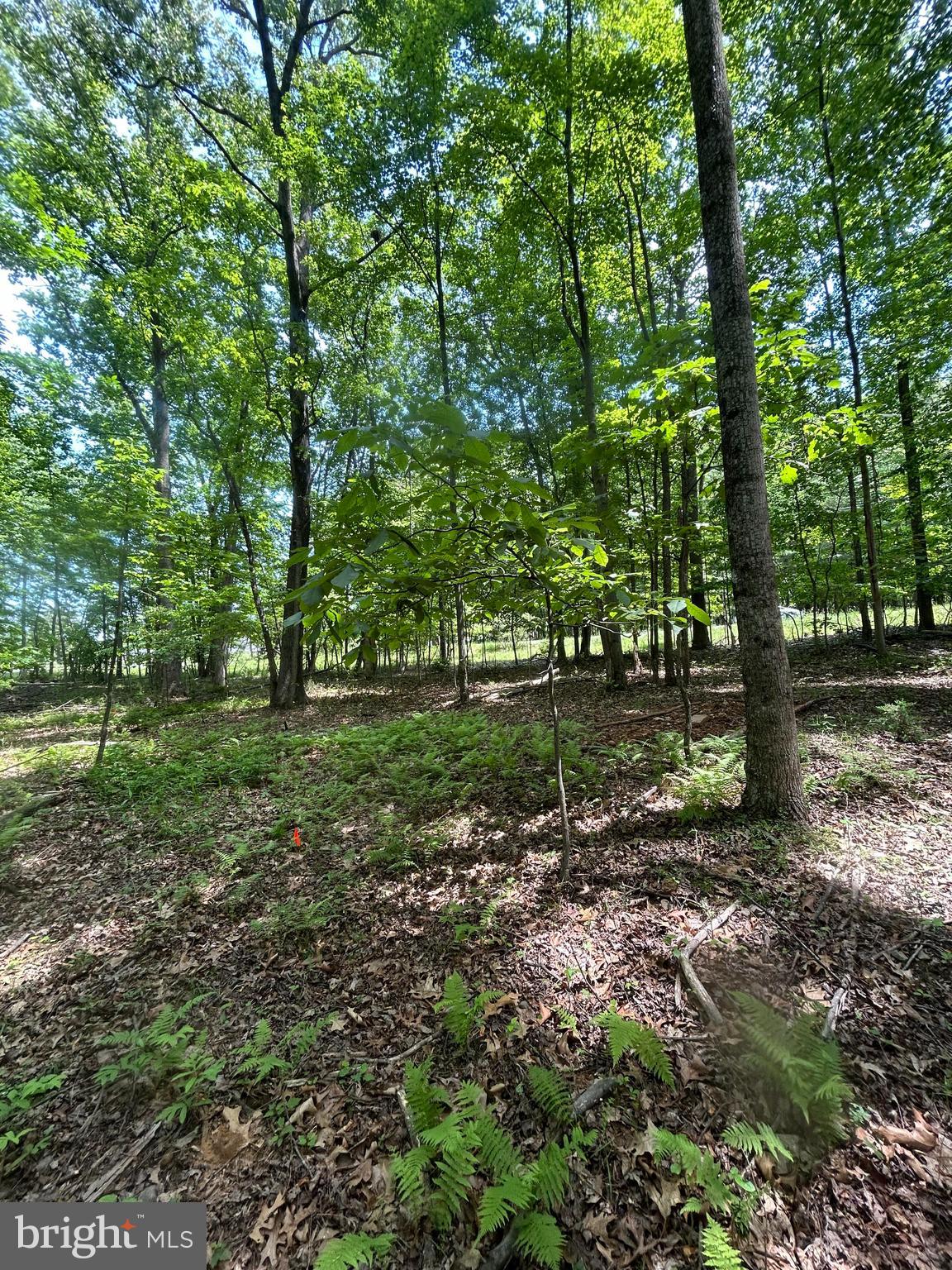 SLEEPY CREEK MTN RETREAT - Land