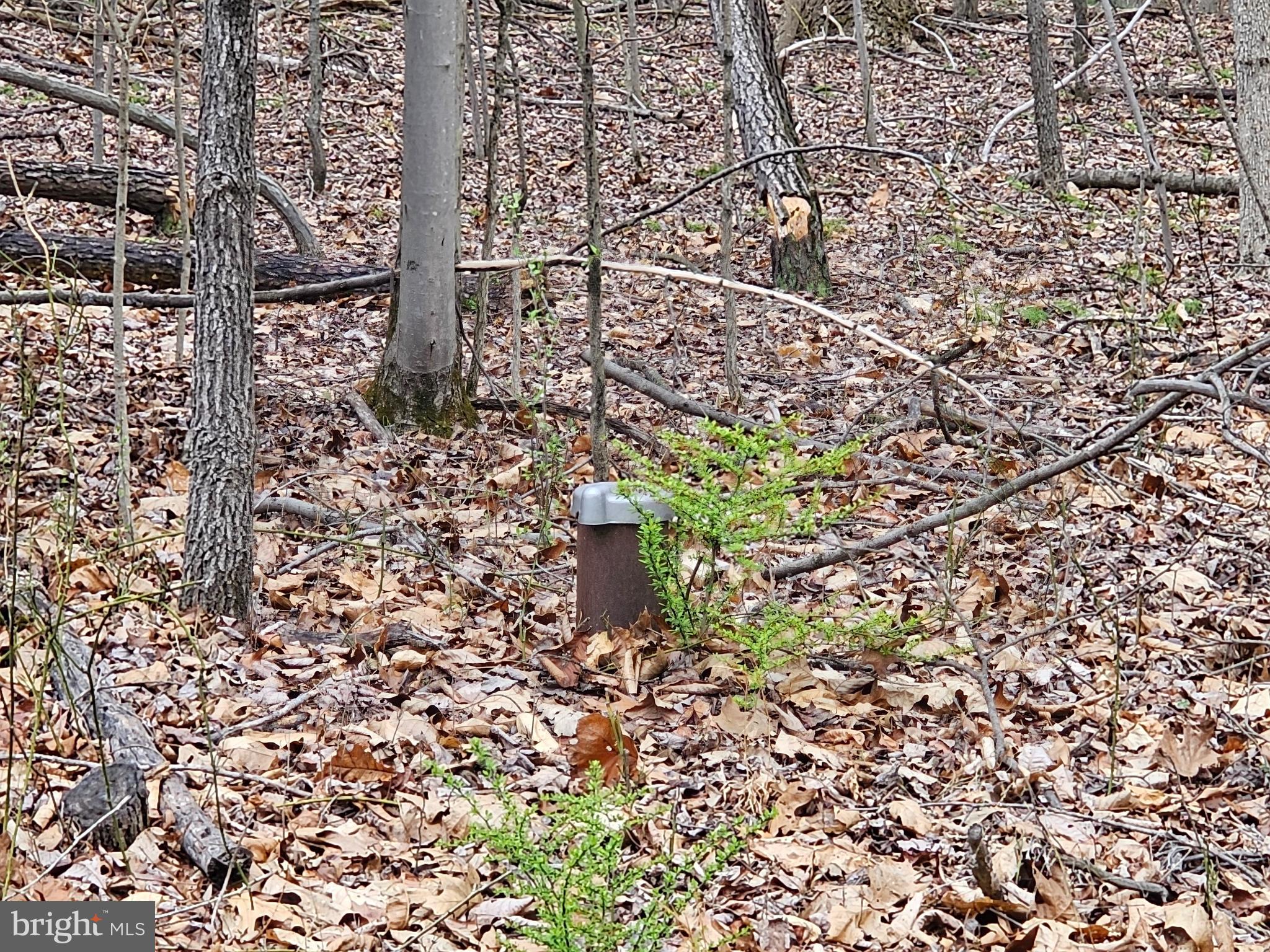 SLEEPY CREEK MTN RETREAT - Land