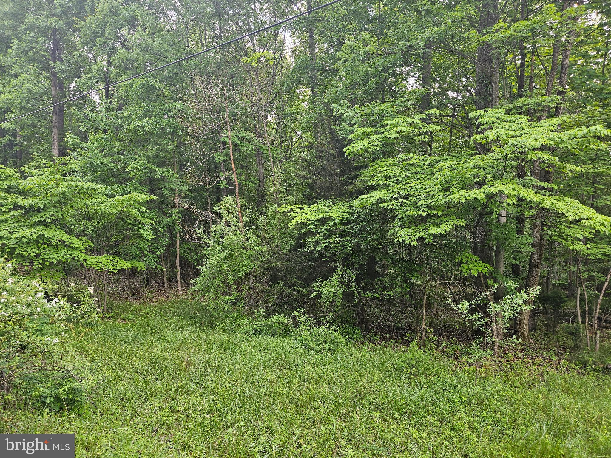 SLEEPY CREEK MTN RETREAT - Land