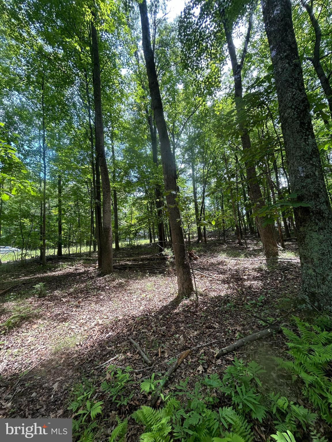 SLEEPY CREEK MTN RETREAT - Land