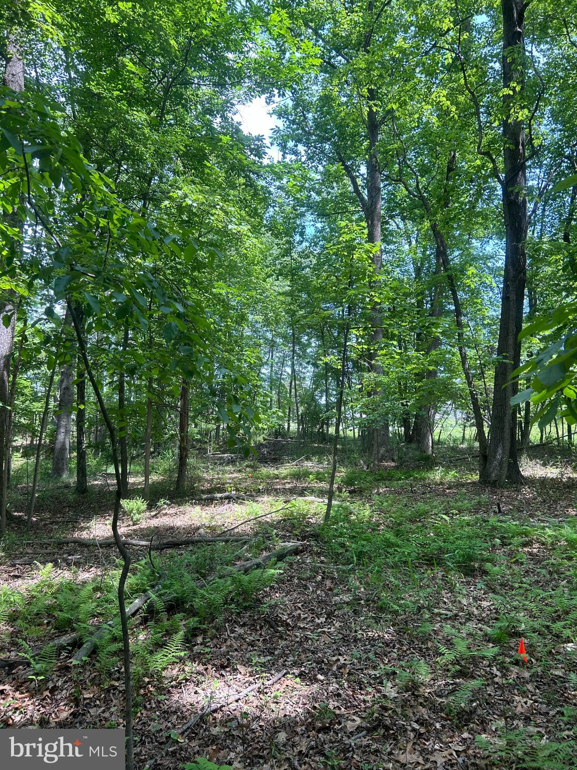 SLEEPY CREEK MTN RETREAT - Land