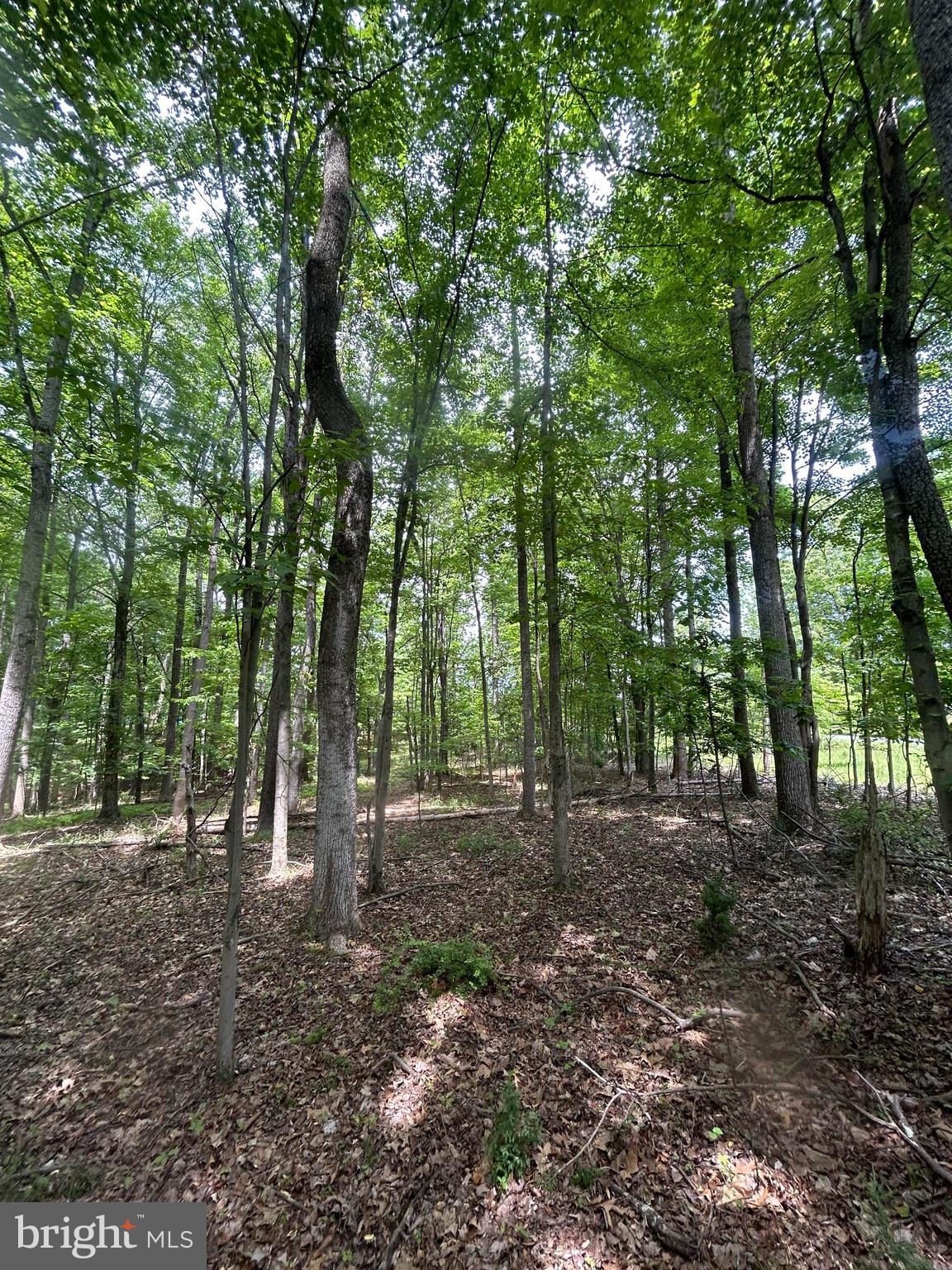 SLEEPY CREEK MTN RETREAT - Land