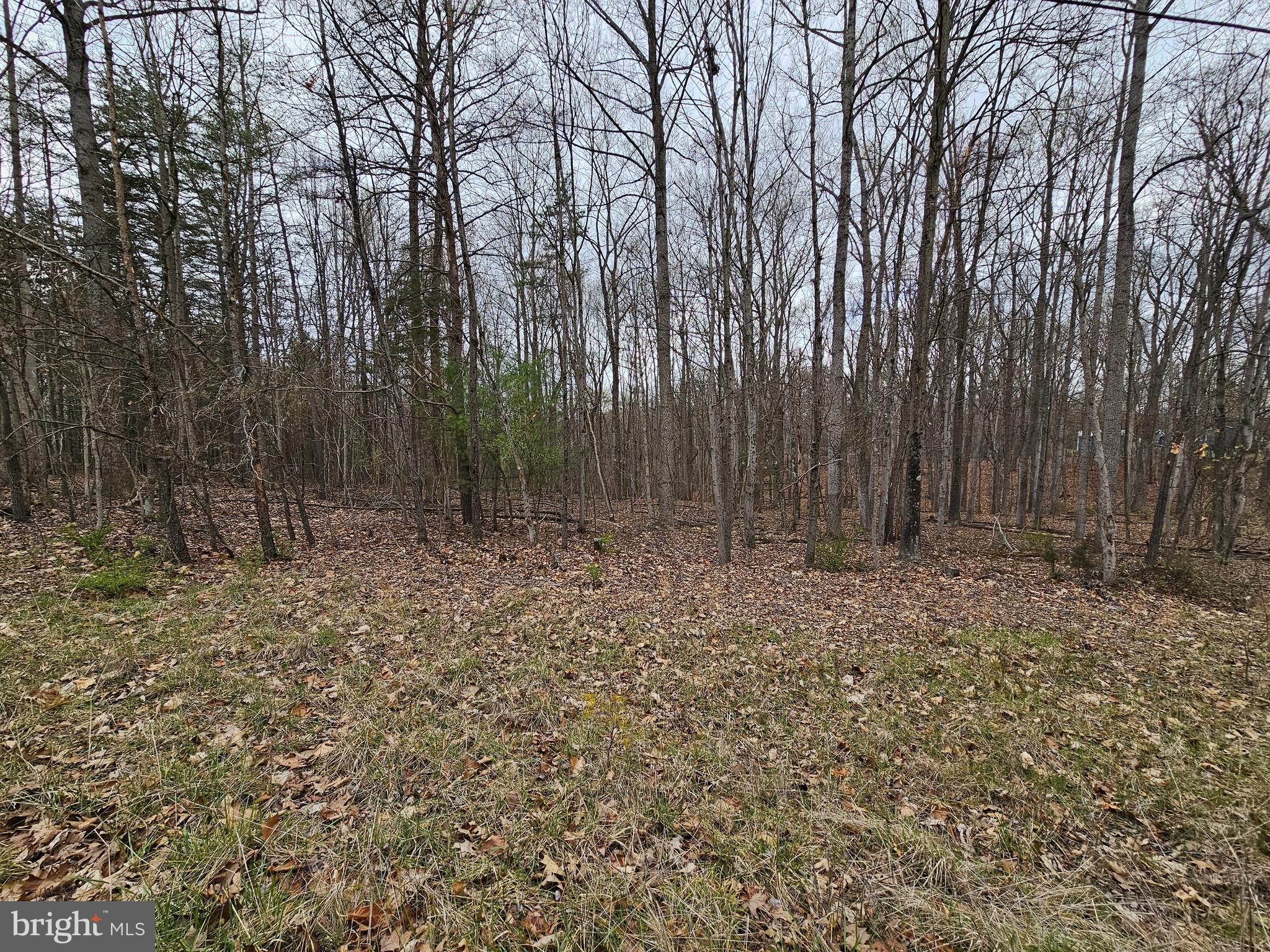 SLEEPY CREEK MTN RETREAT - Land