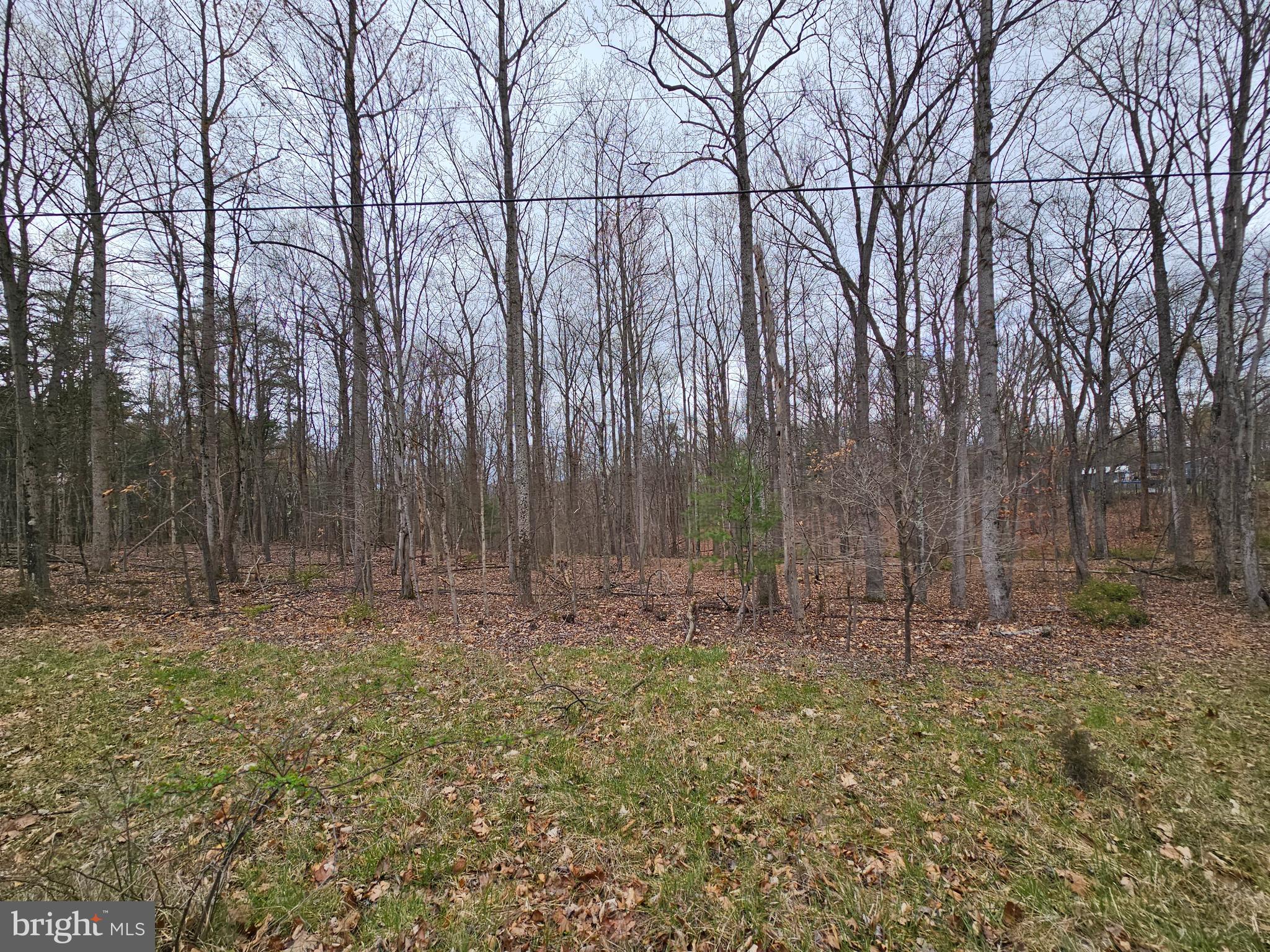 SLEEPY CREEK MTN RETREAT - Land