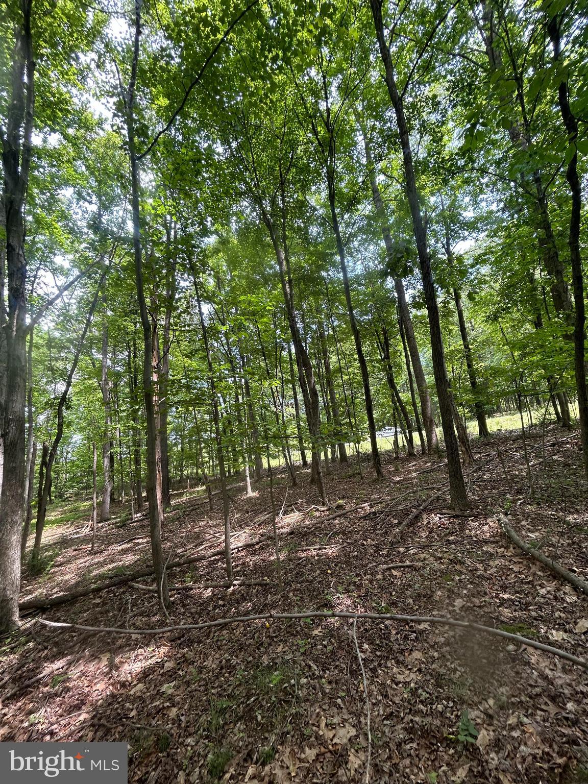 SLEEPY CREEK MTN RETREAT - Land