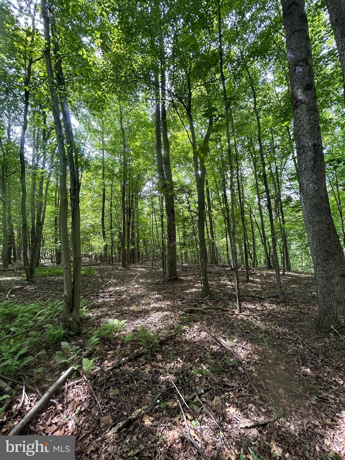 SLEEPY CREEK MTN RETREAT - Land