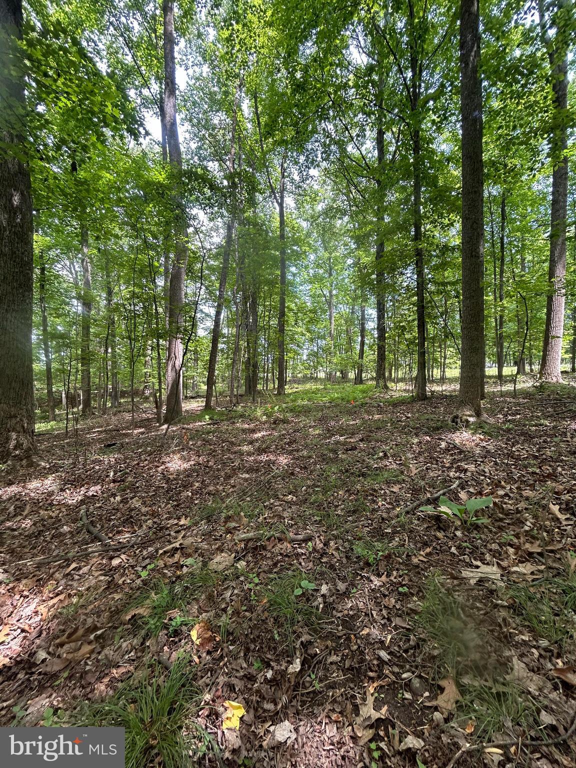 SLEEPY CREEK MTN RETREAT - Land