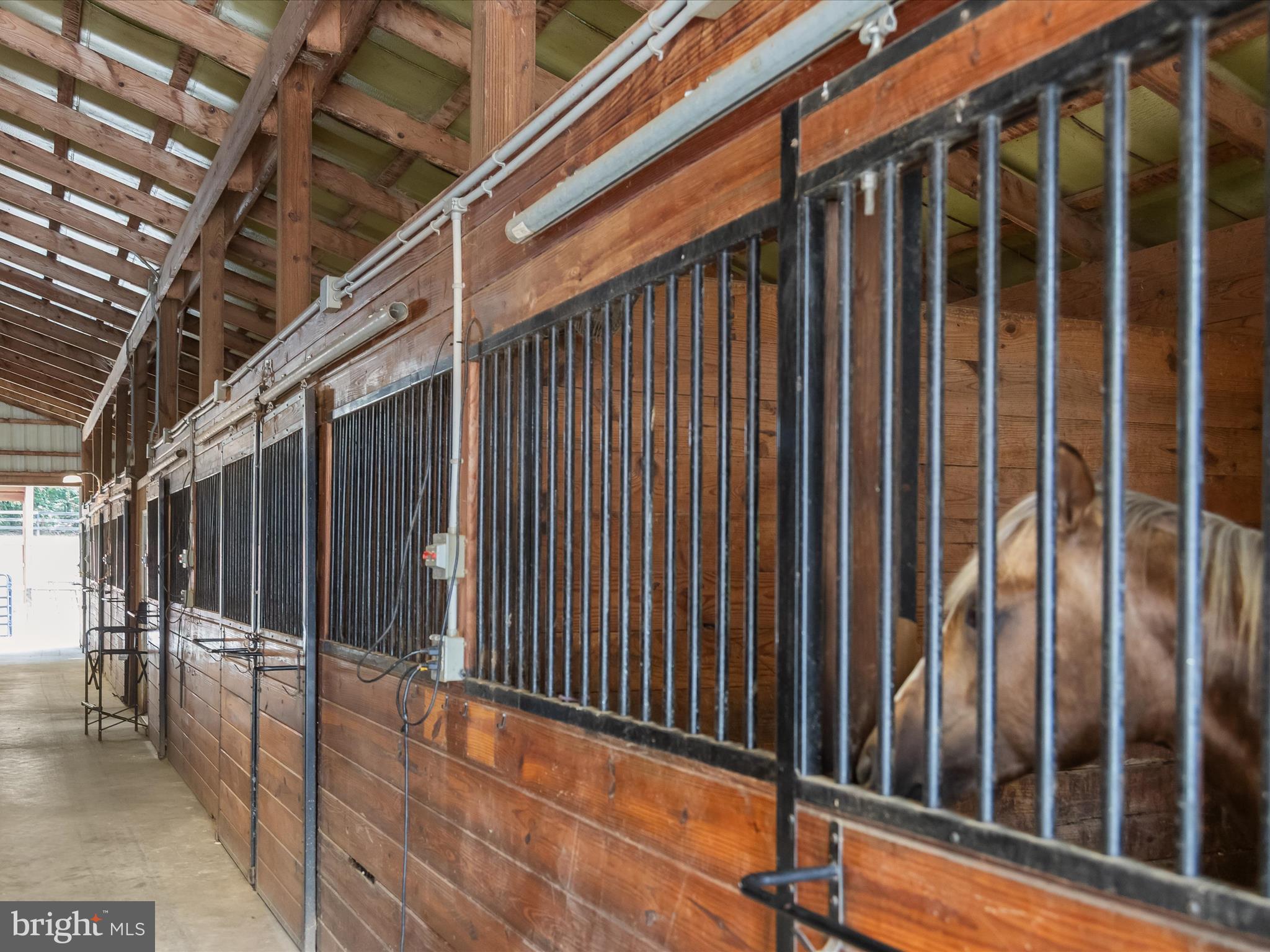 DAMASCUS OUTSIDE - Farm