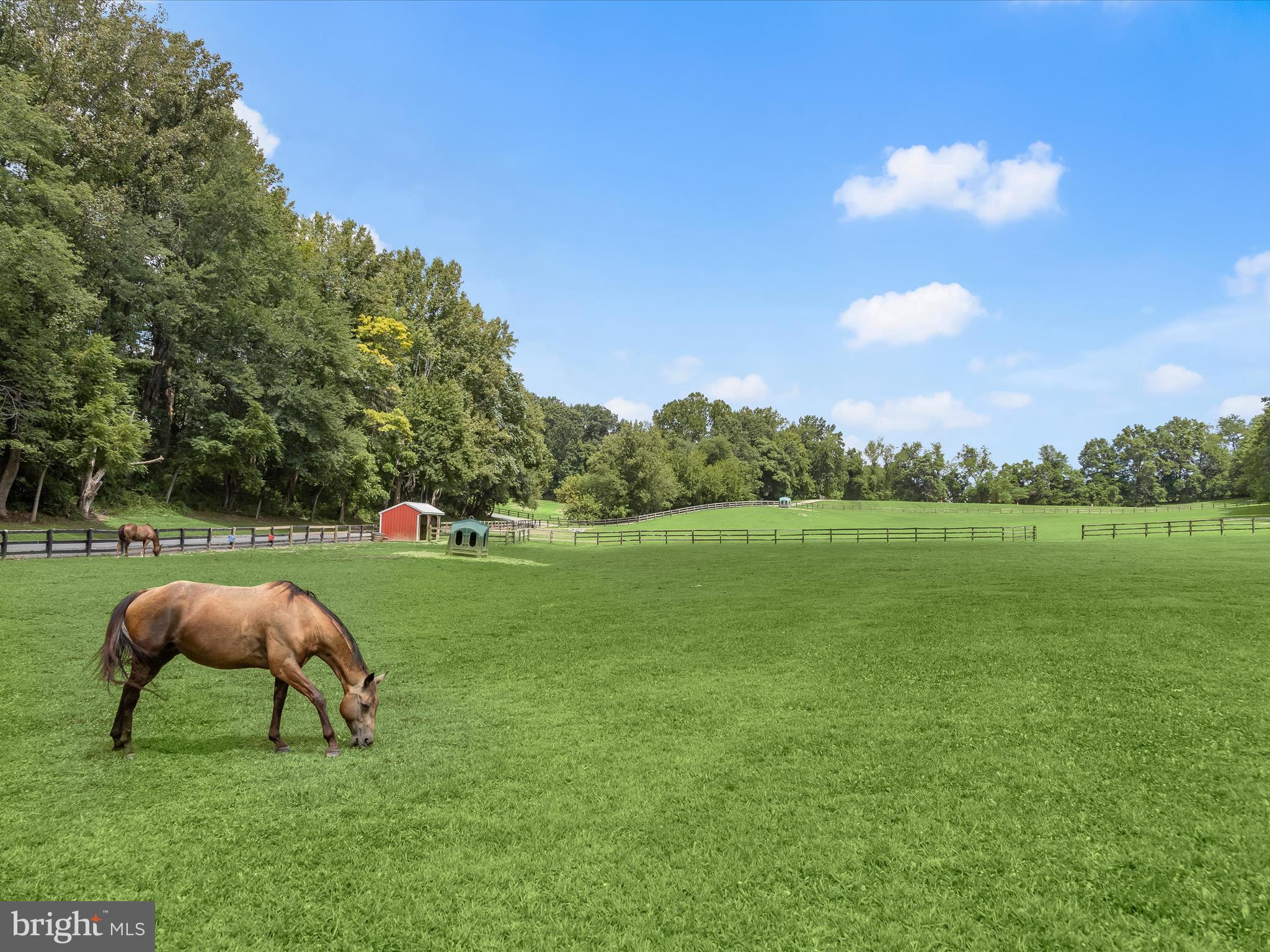DAMASCUS OUTSIDE - Farm