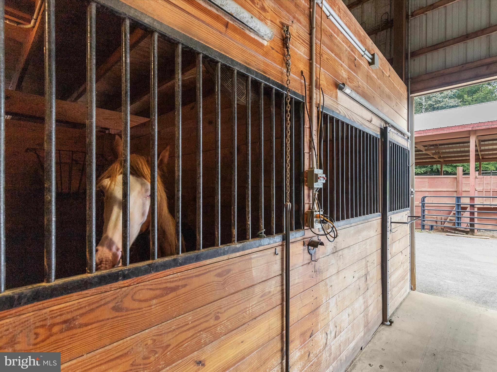 DAMASCUS OUTSIDE - Farm