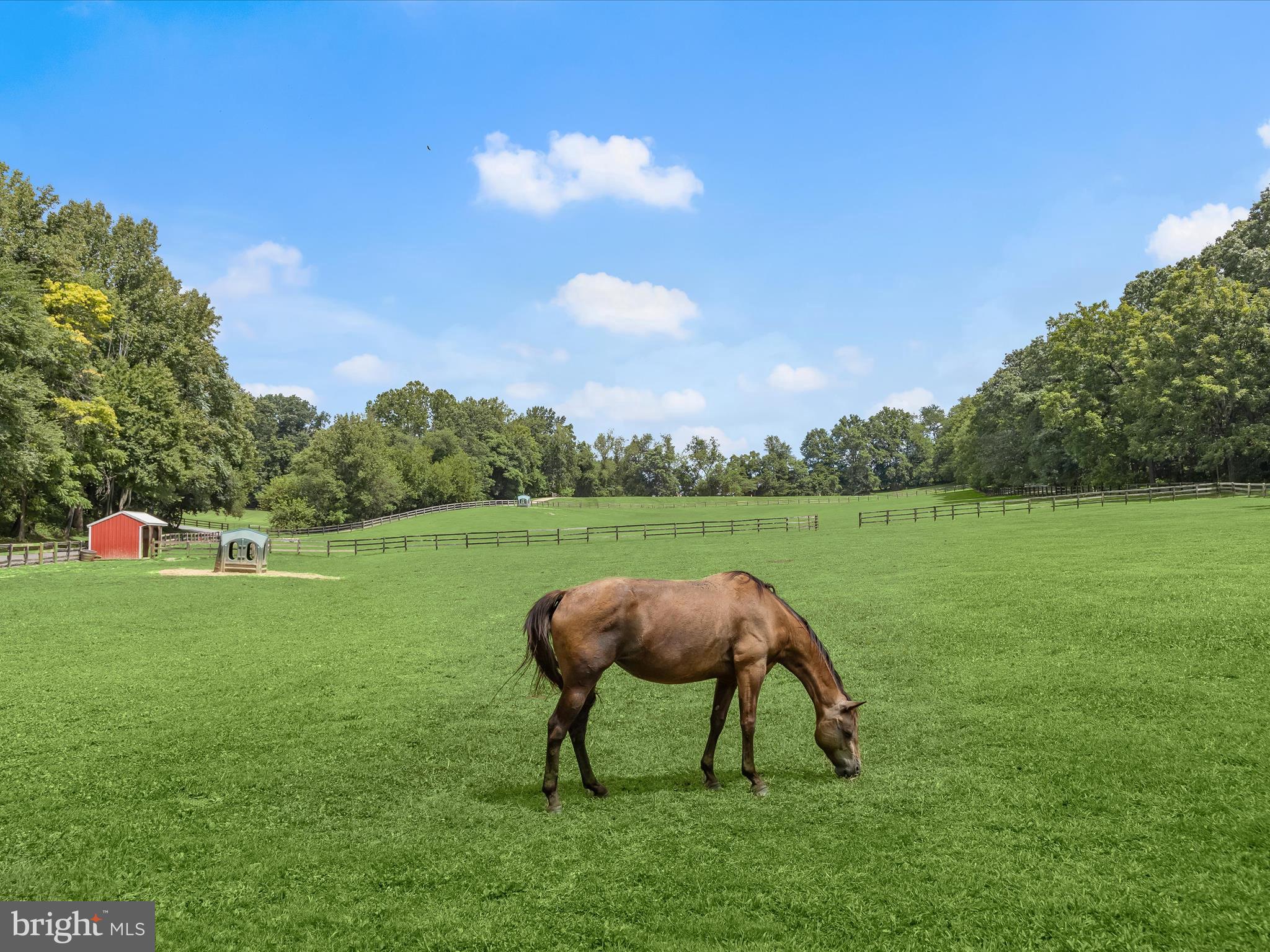 DAMASCUS OUTSIDE - Farm
