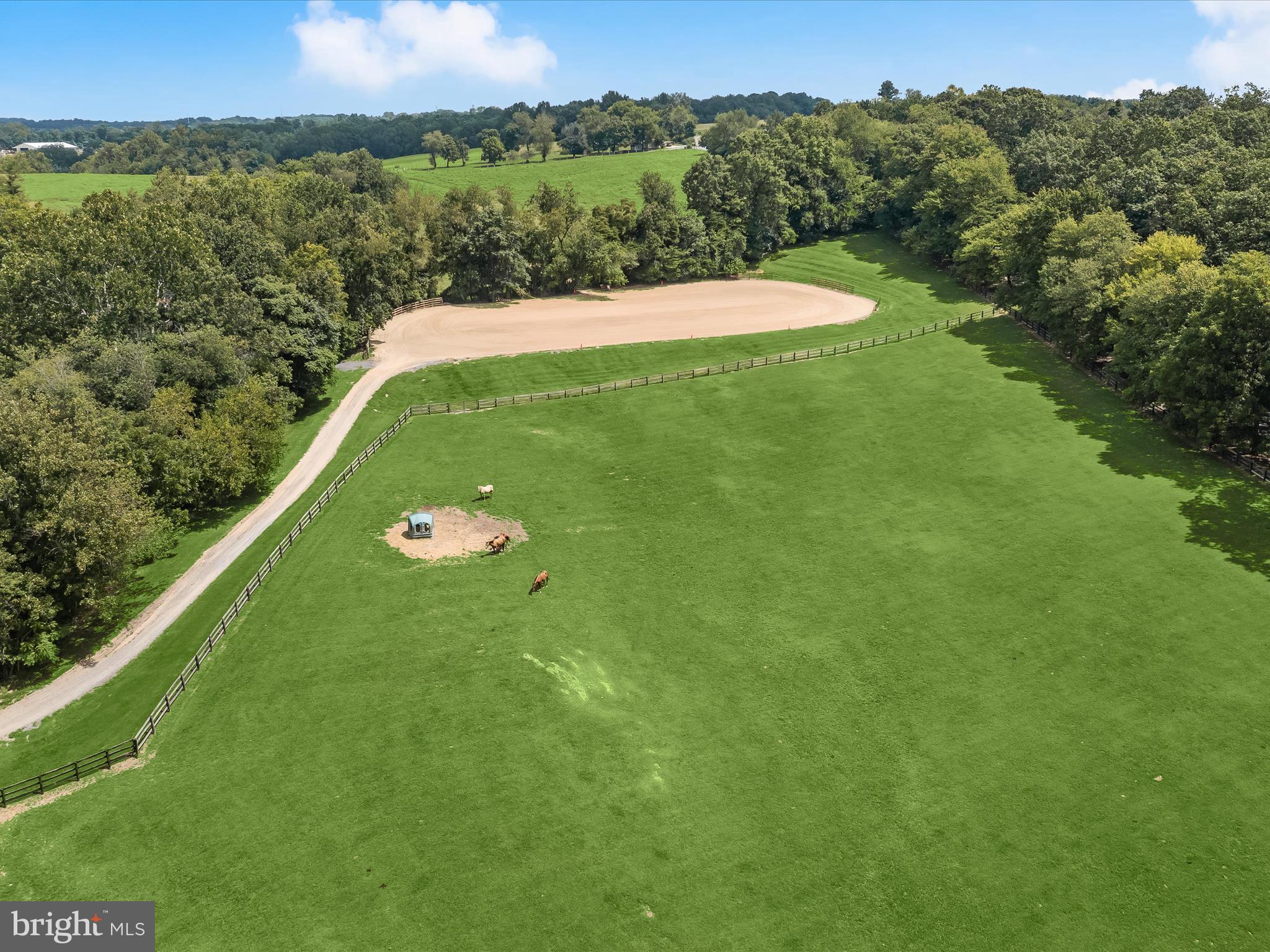 DAMASCUS OUTSIDE - Farm