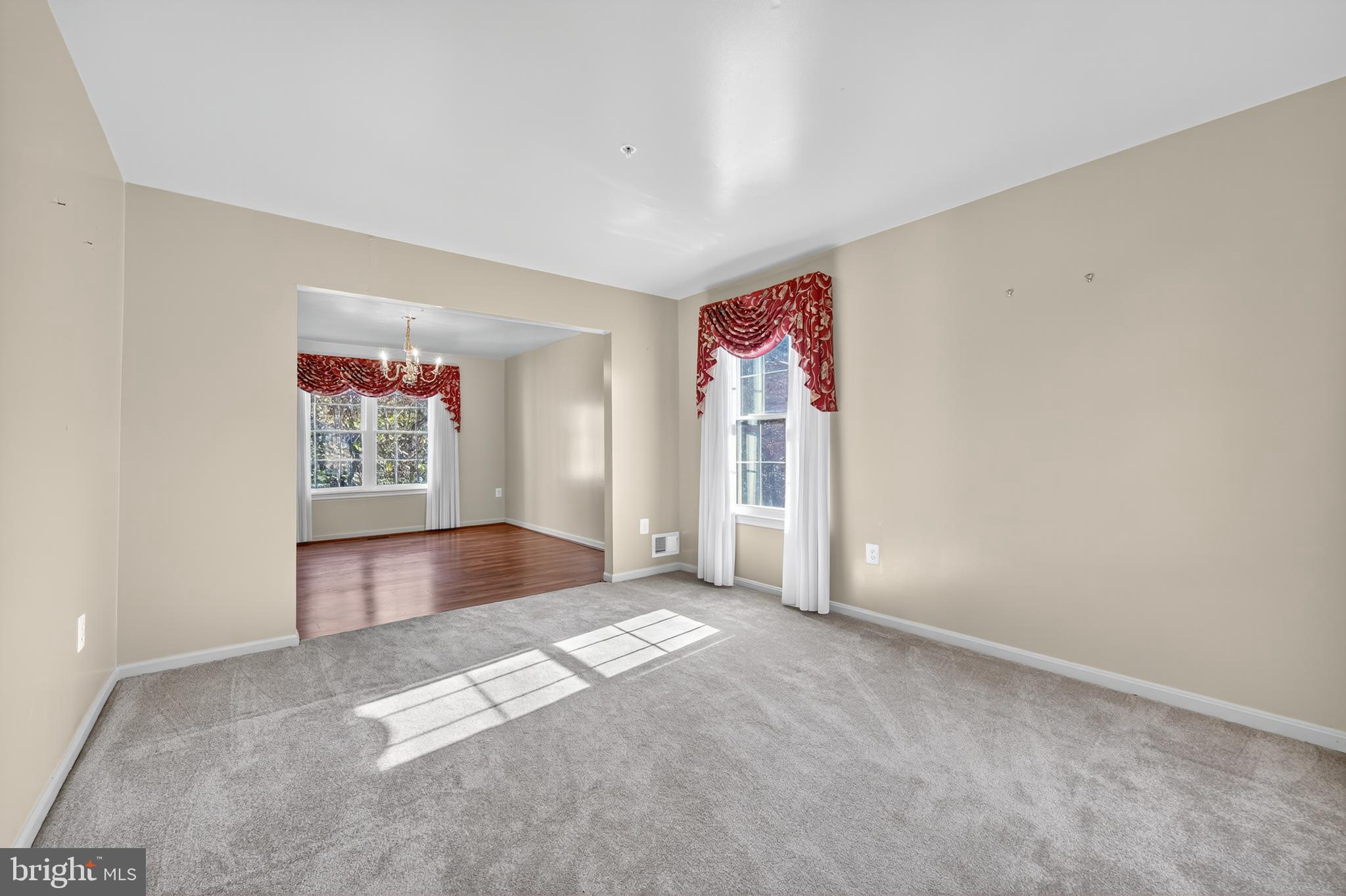 13509 TRUMPETER SWAN COURT