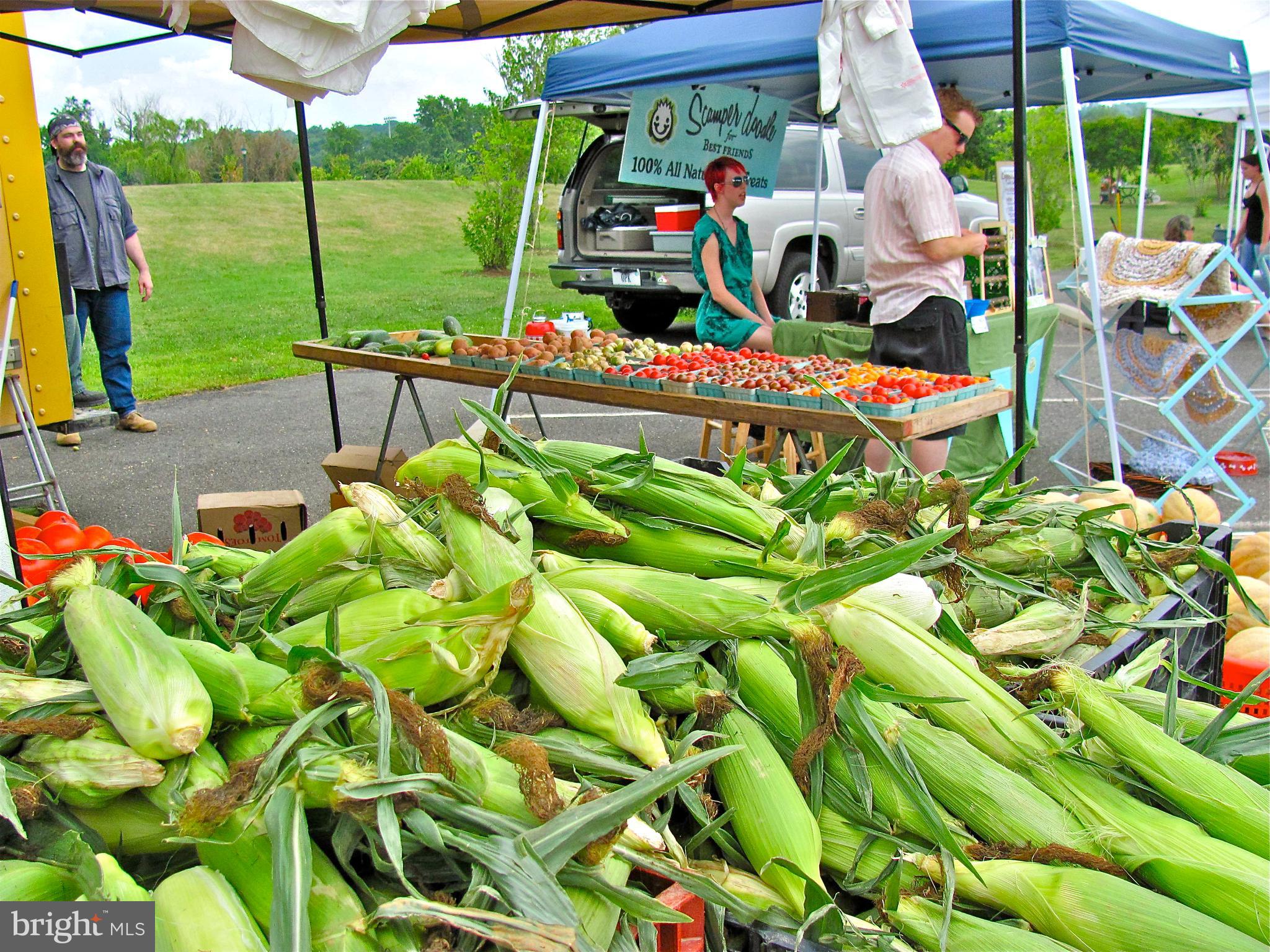 HALLMARK - Residential Lease