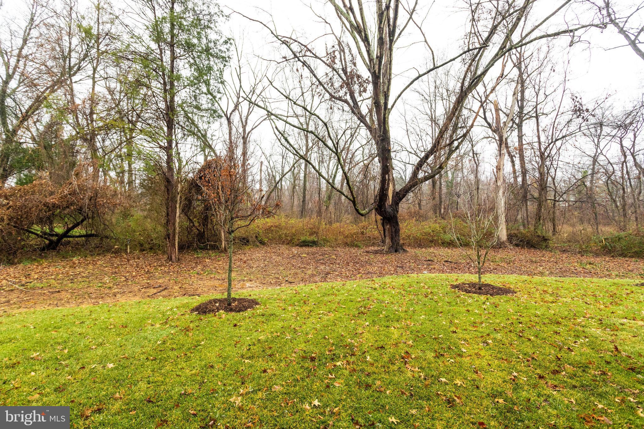 CHESTERBROOK GARDENS - Residential