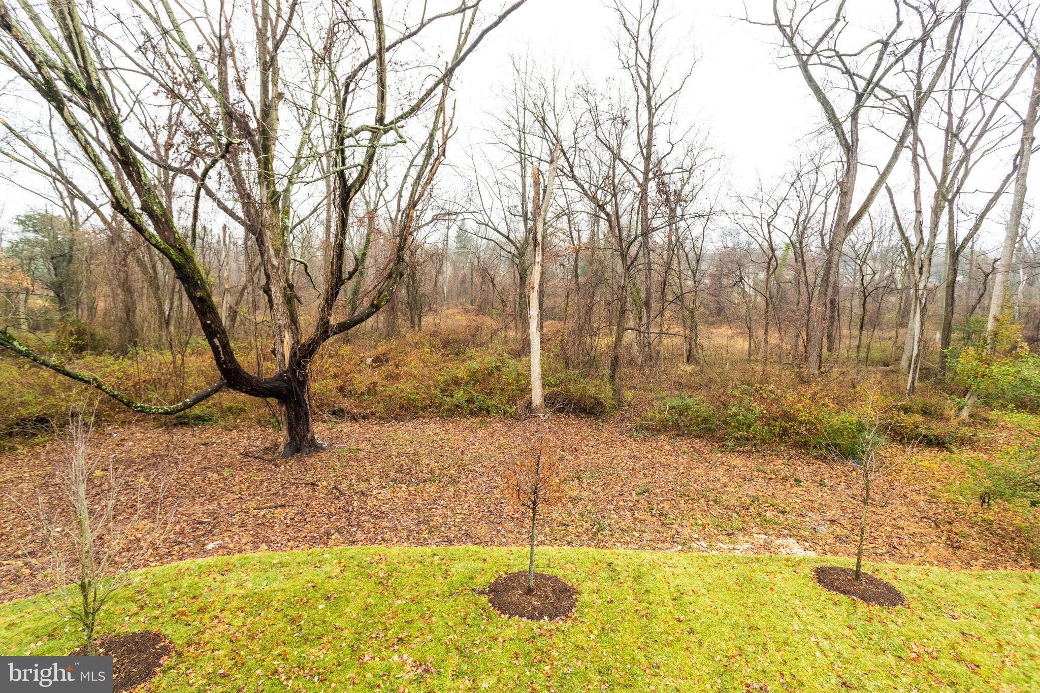 CHESTERBROOK GARDENS - Residential