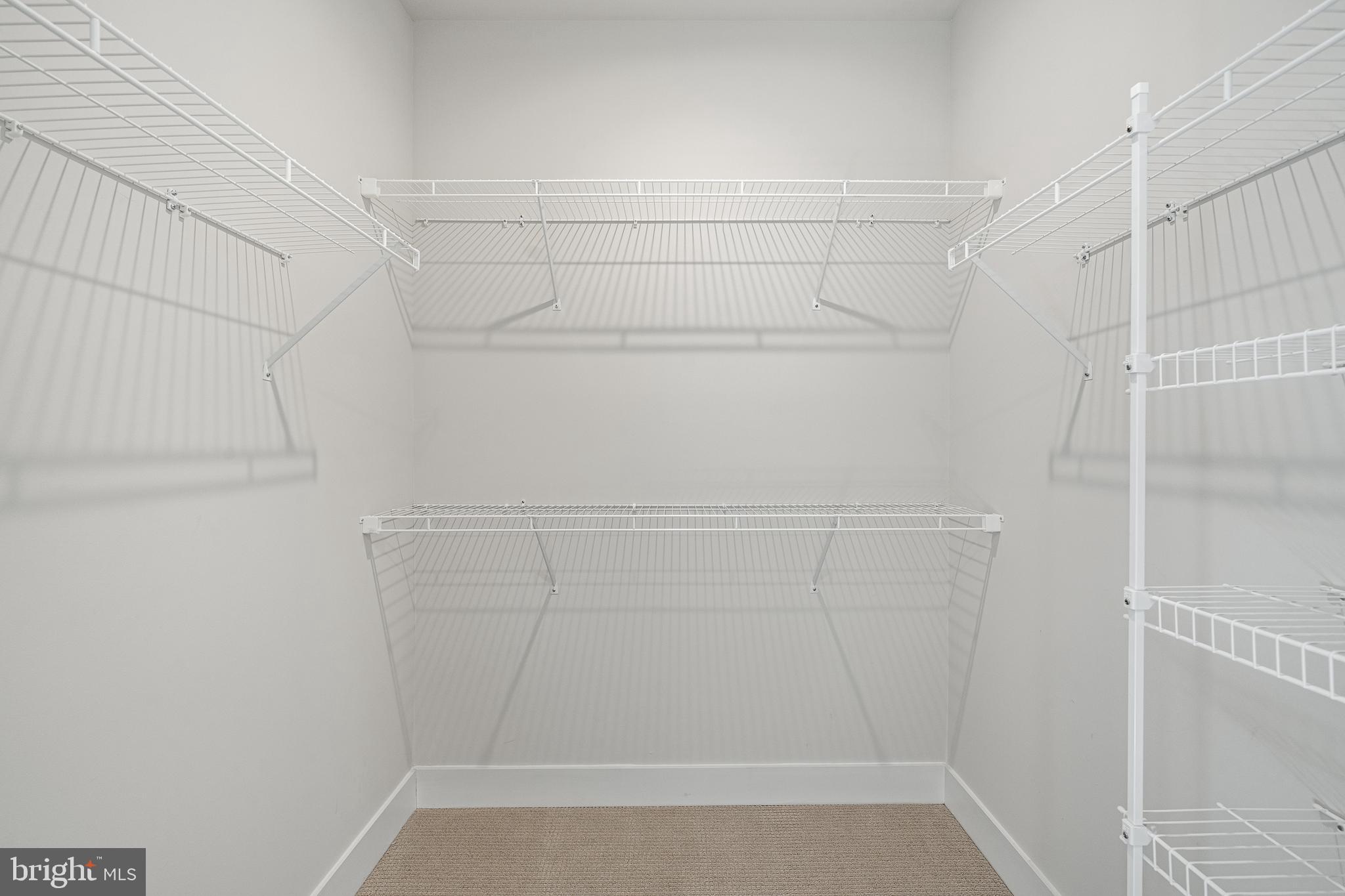 PRESERVE AT MARSH CREEK - CARRIAGE COLLECTION - Residential