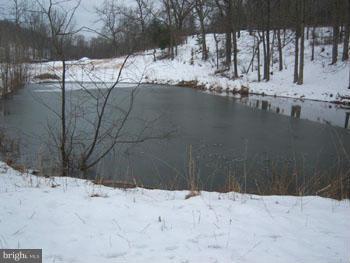 SLIM CHANCE ACRES - Land