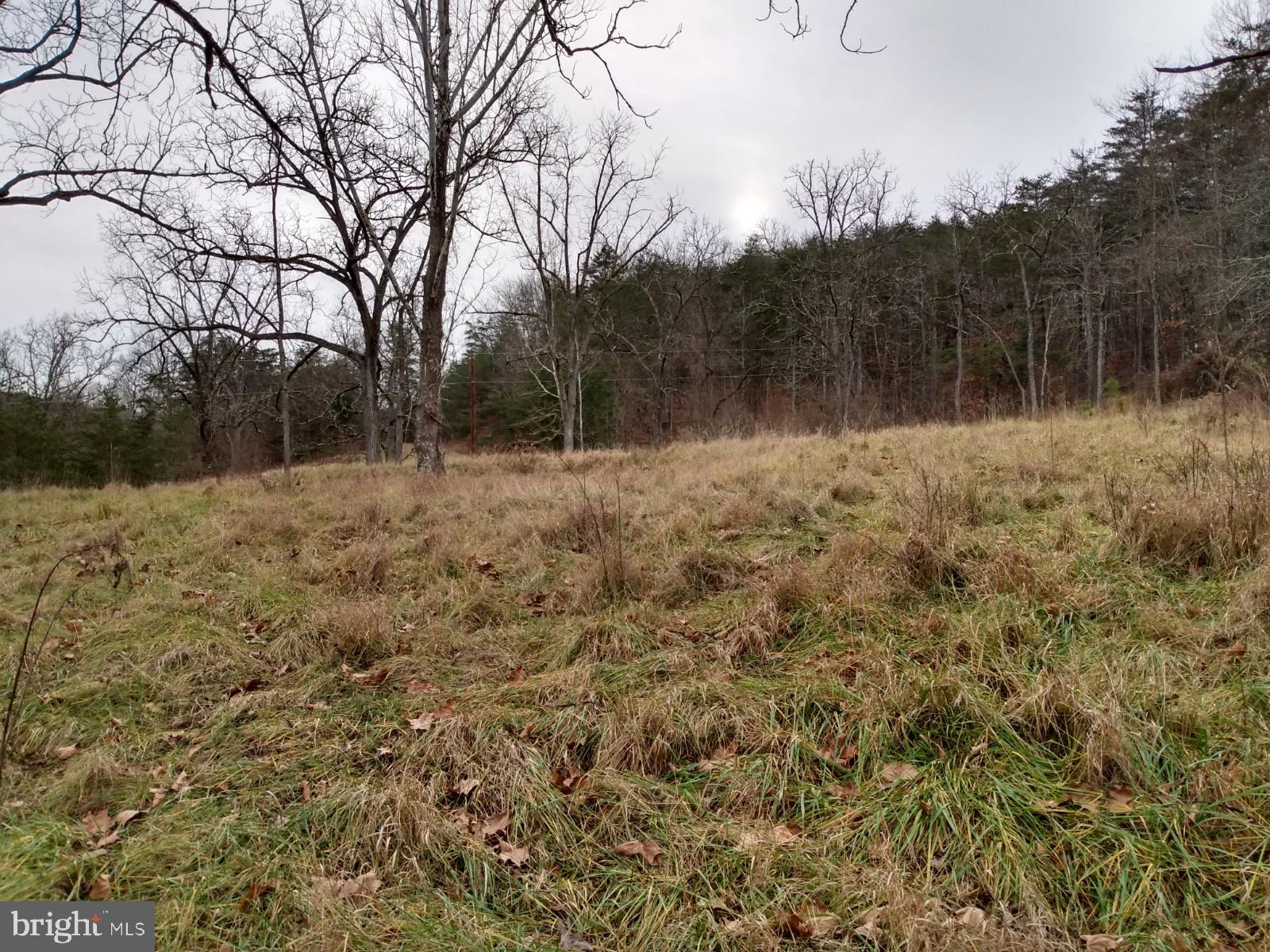 SLIM CHANCE ACRES - Land