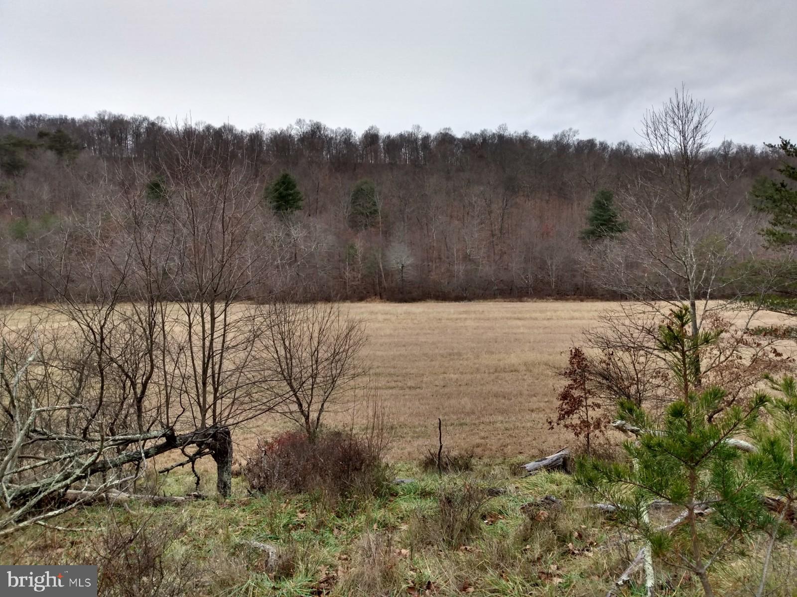 SLIM CHANCE ACRES - Land