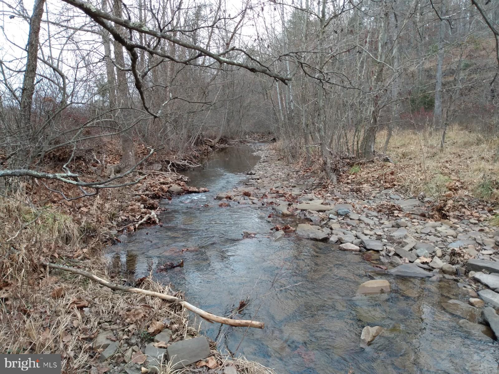 SLIM CHANCE ACRES - Land