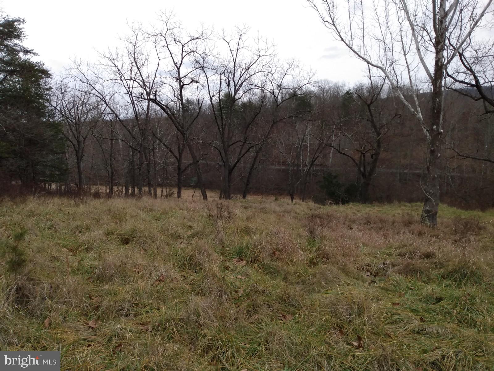 SLIM CHANCE ACRES - Land