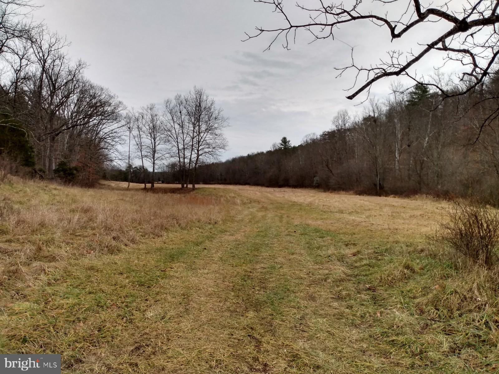 SLIM CHANCE ACRES - Land