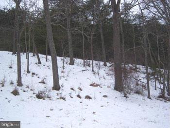 SLIM CHANCE ACRES - Land