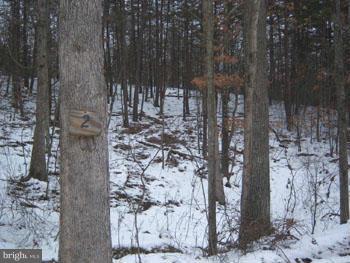 SLIM CHANCE ACRES - Land