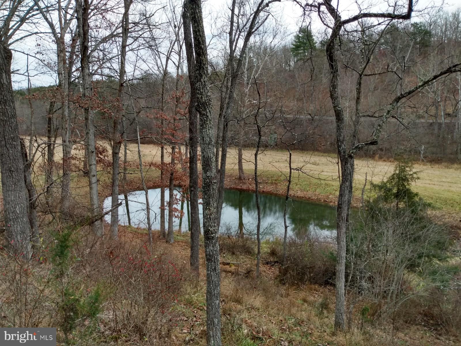 SLIM CHANCE ACRES - Land