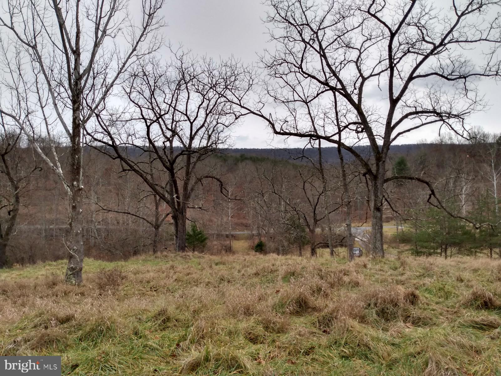 SLIM CHANCE ACRES - Land