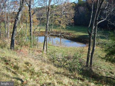 SLIM CHANCE ACRES - Land