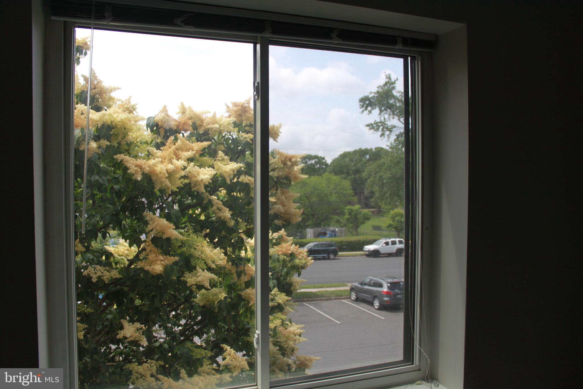 HAWTHORNE VILLAGE - Residential Lease