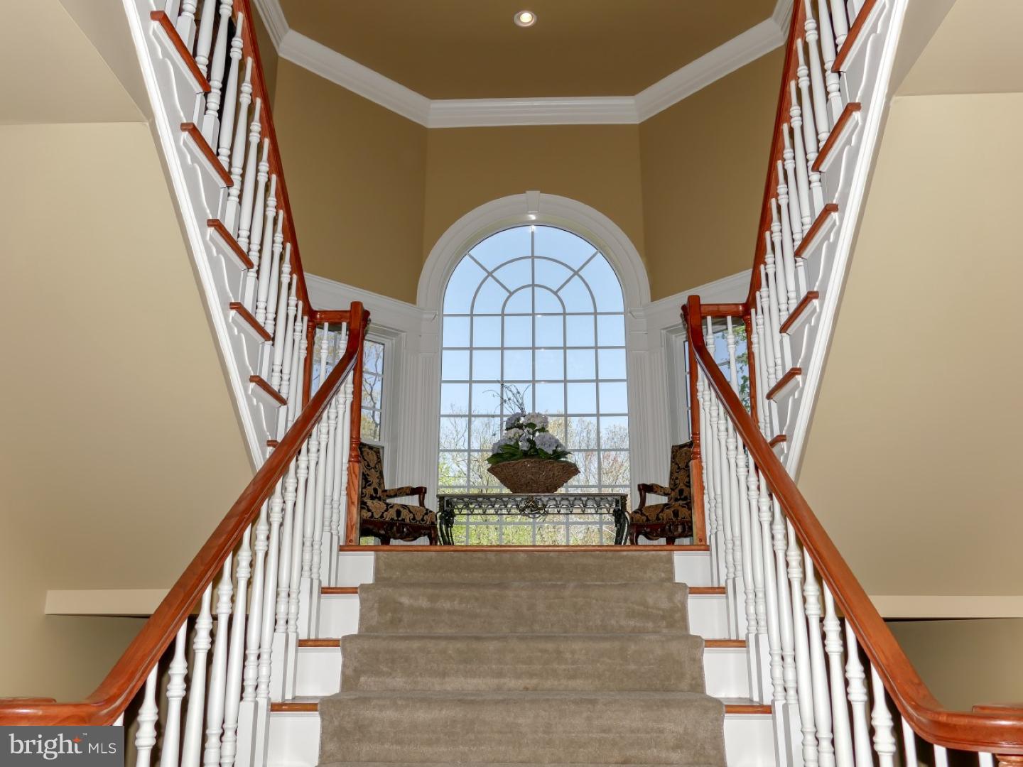 WARNER MEADOWS - Residential