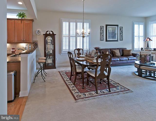 REGENCY AT DOMINION VALLEY - Residential