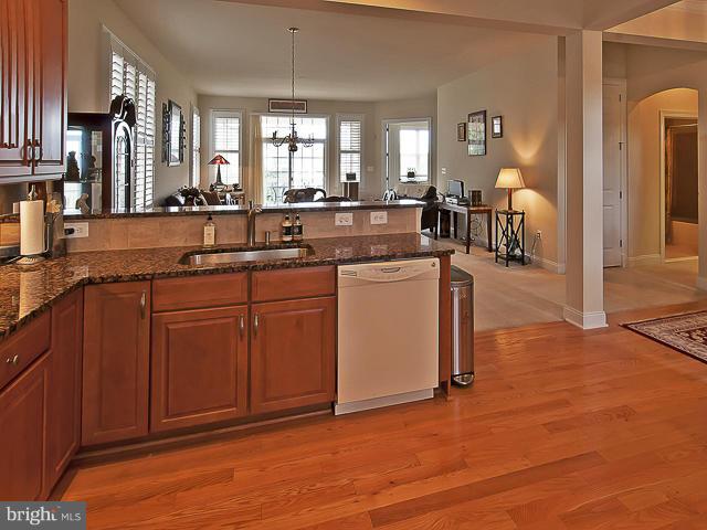 REGENCY AT DOMINION VALLEY - Residential