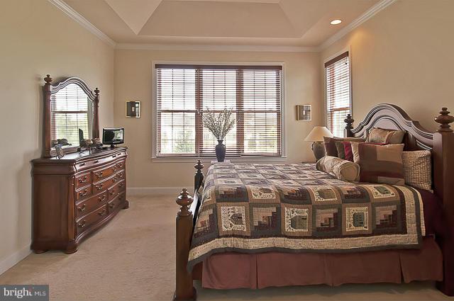 REGENCY AT DOMINION VALLEY - Residential