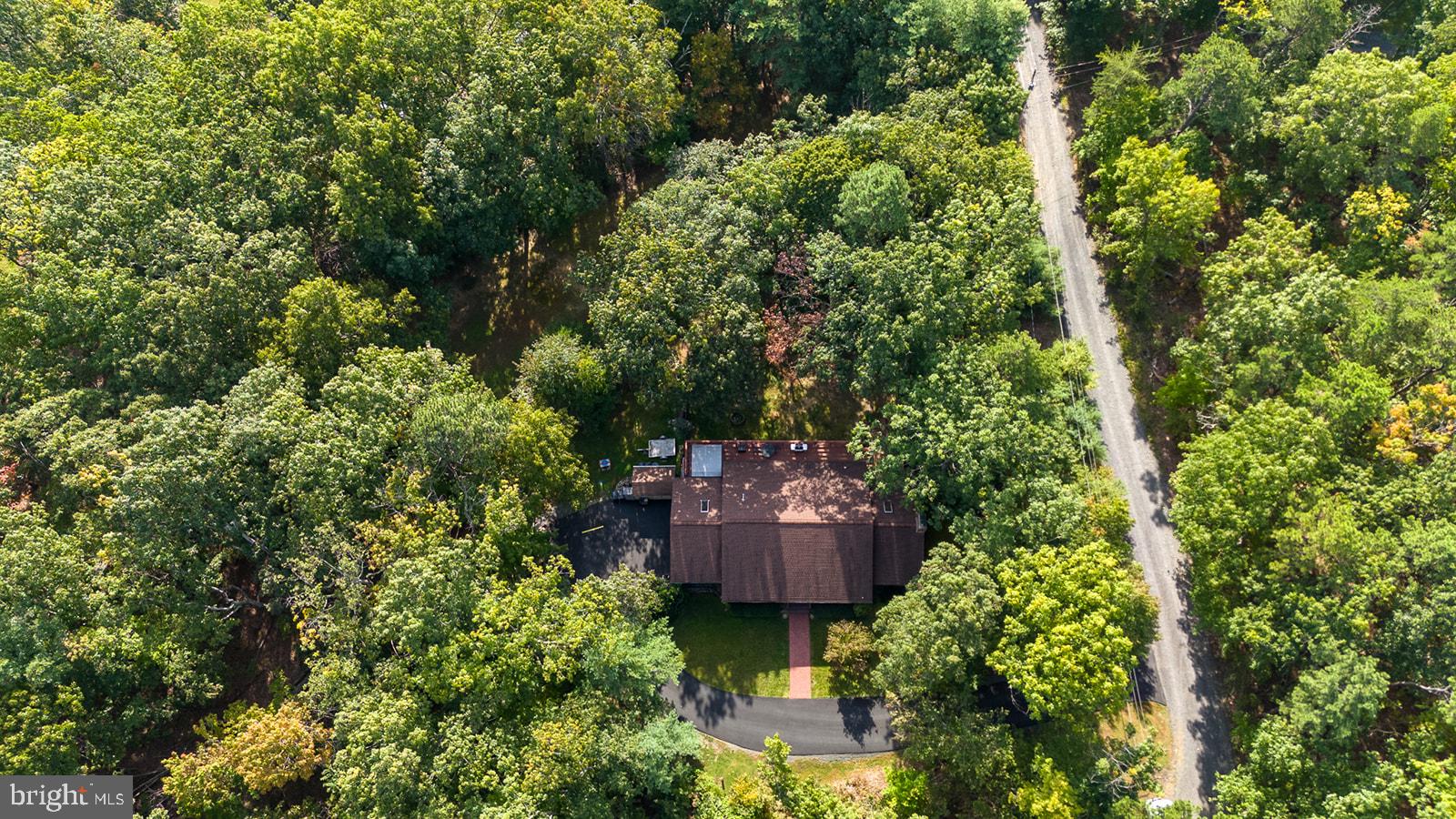 4251 BEAR HOLLOW TRL