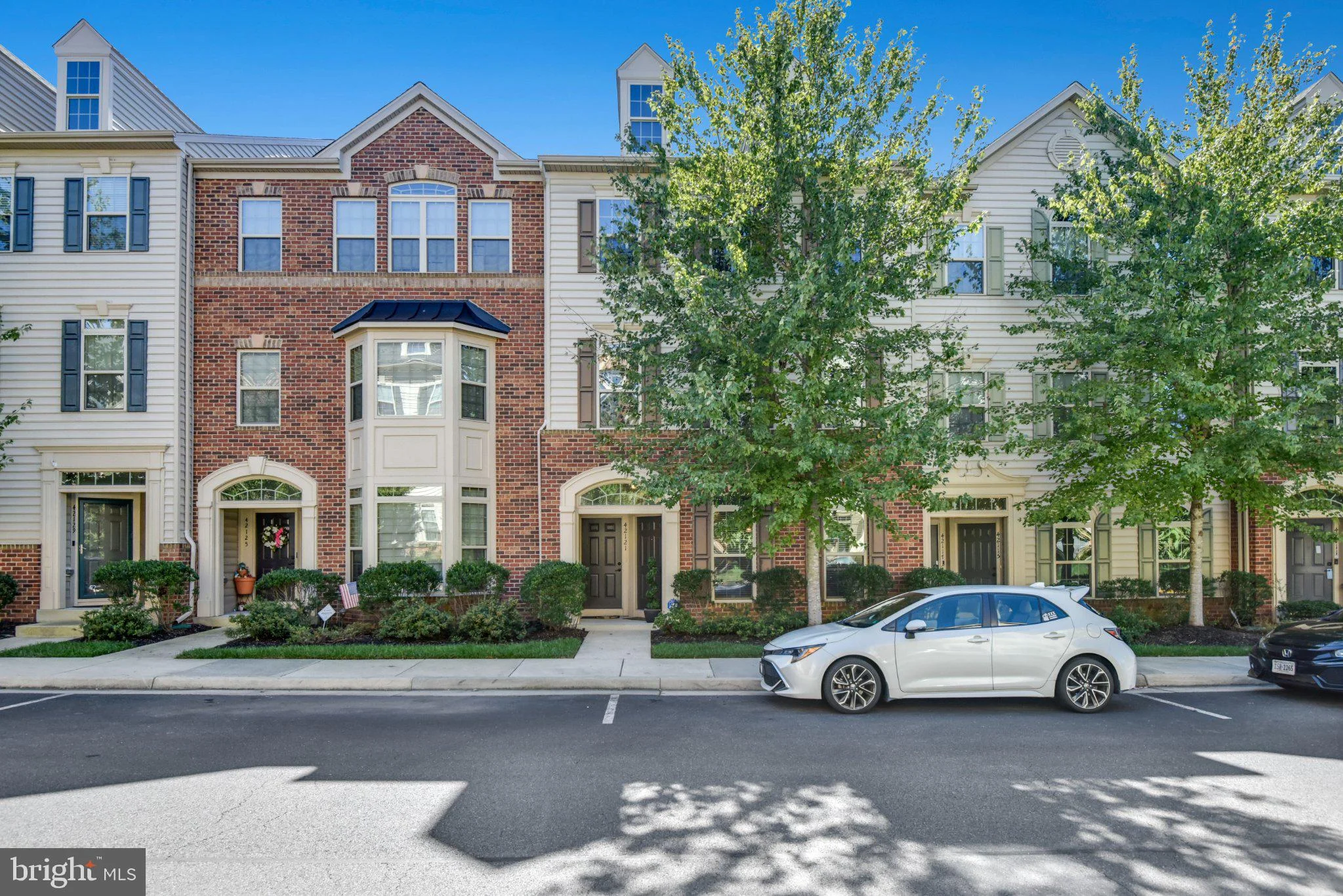 42119 Piebald Square