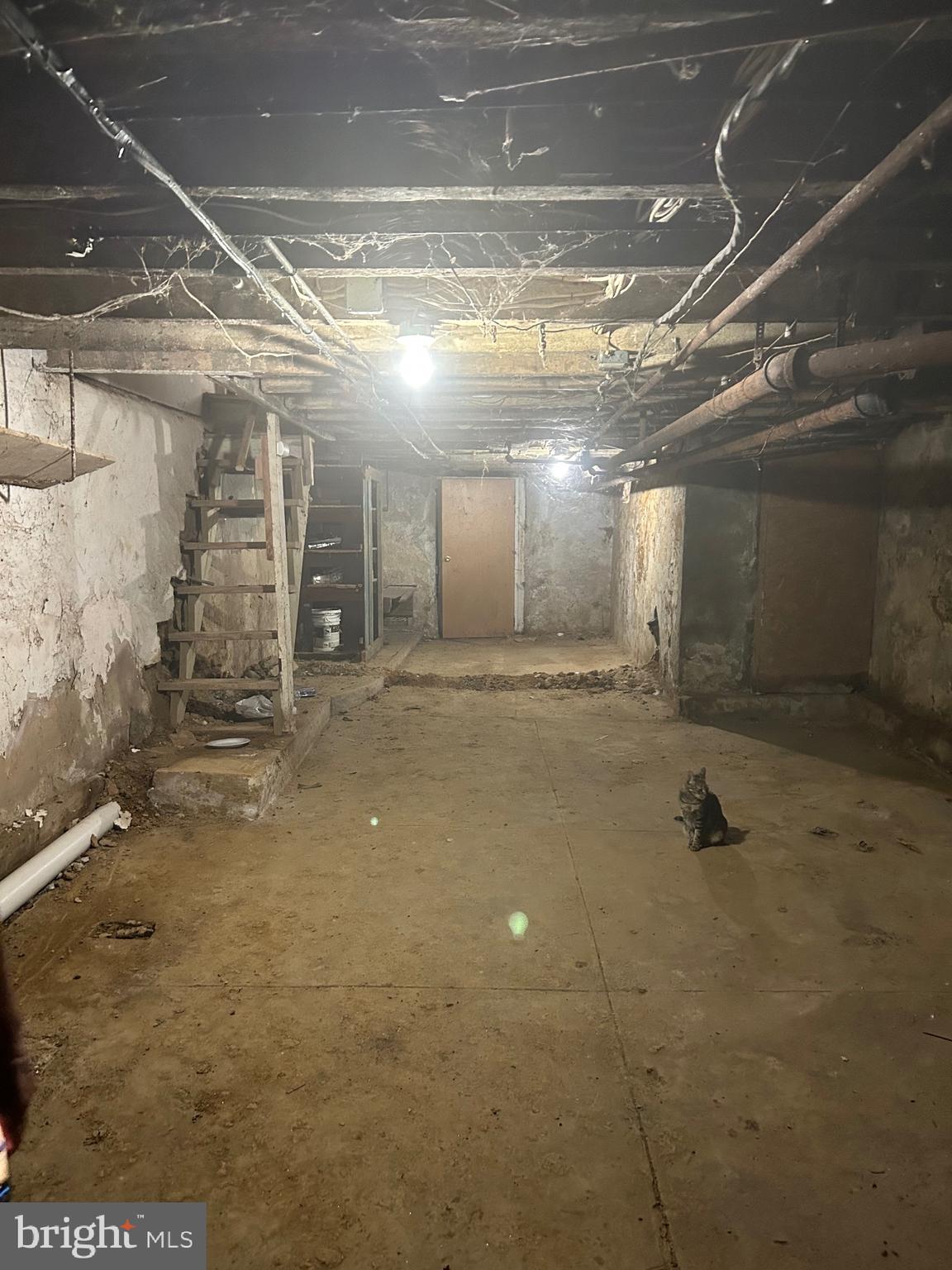 HADDINGTON - Residential