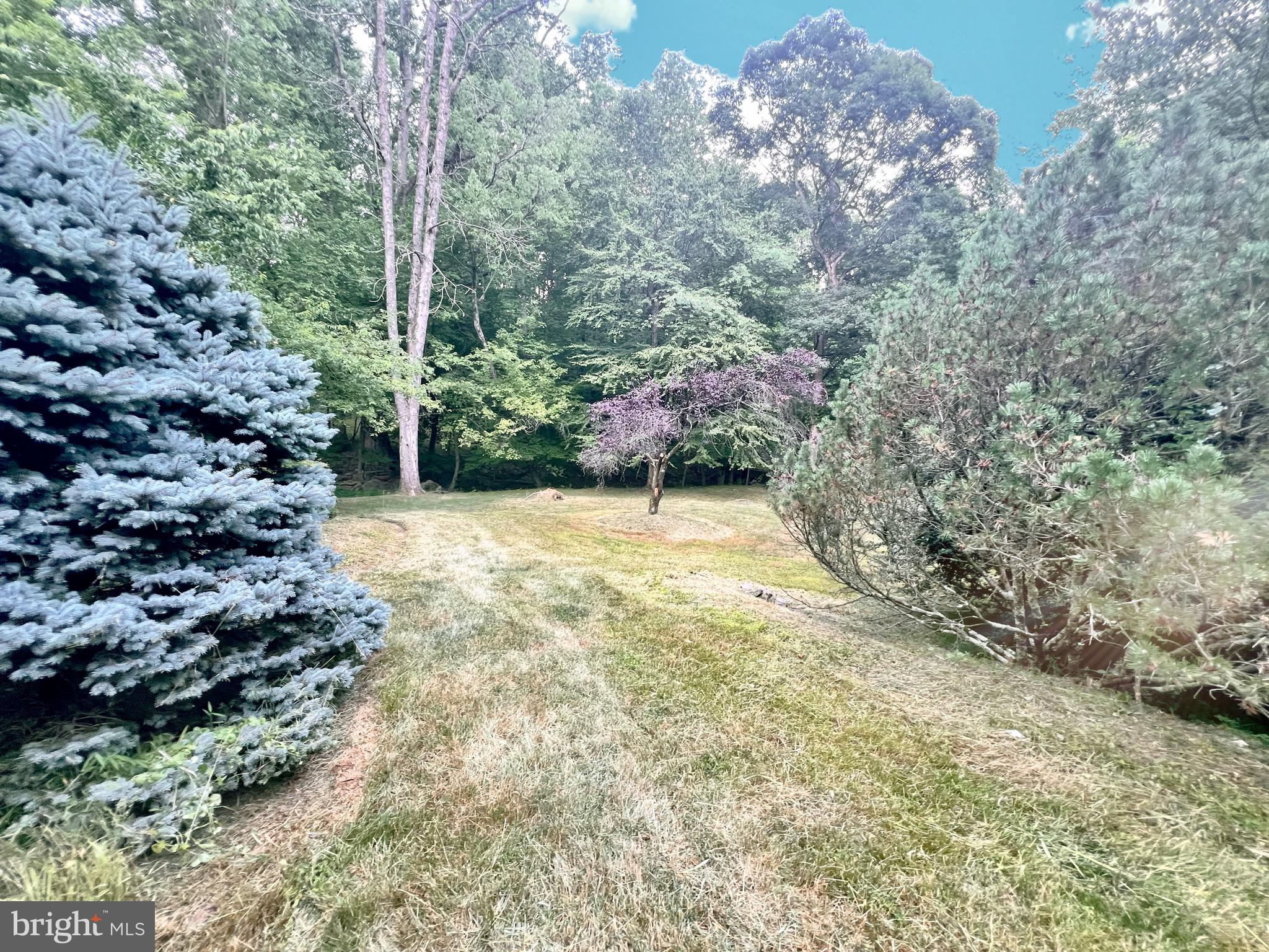 ASH MILL - Residential