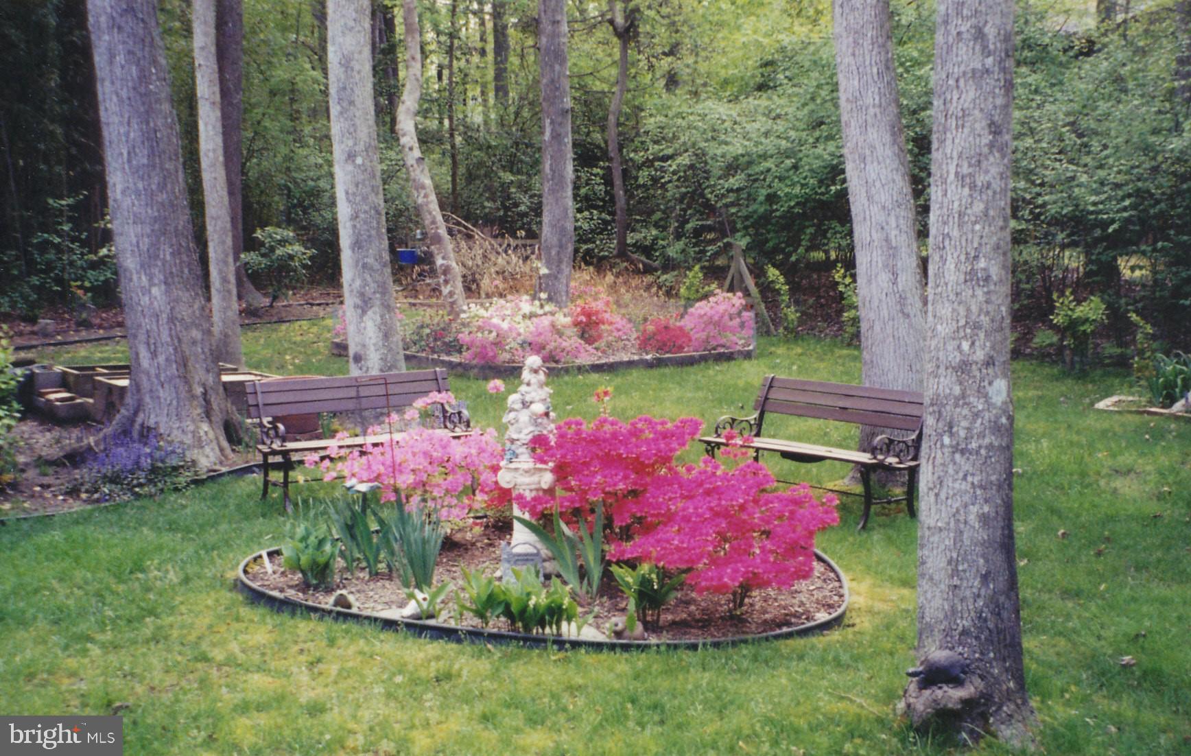 OCEAN PINES - PINEHURST - Residential