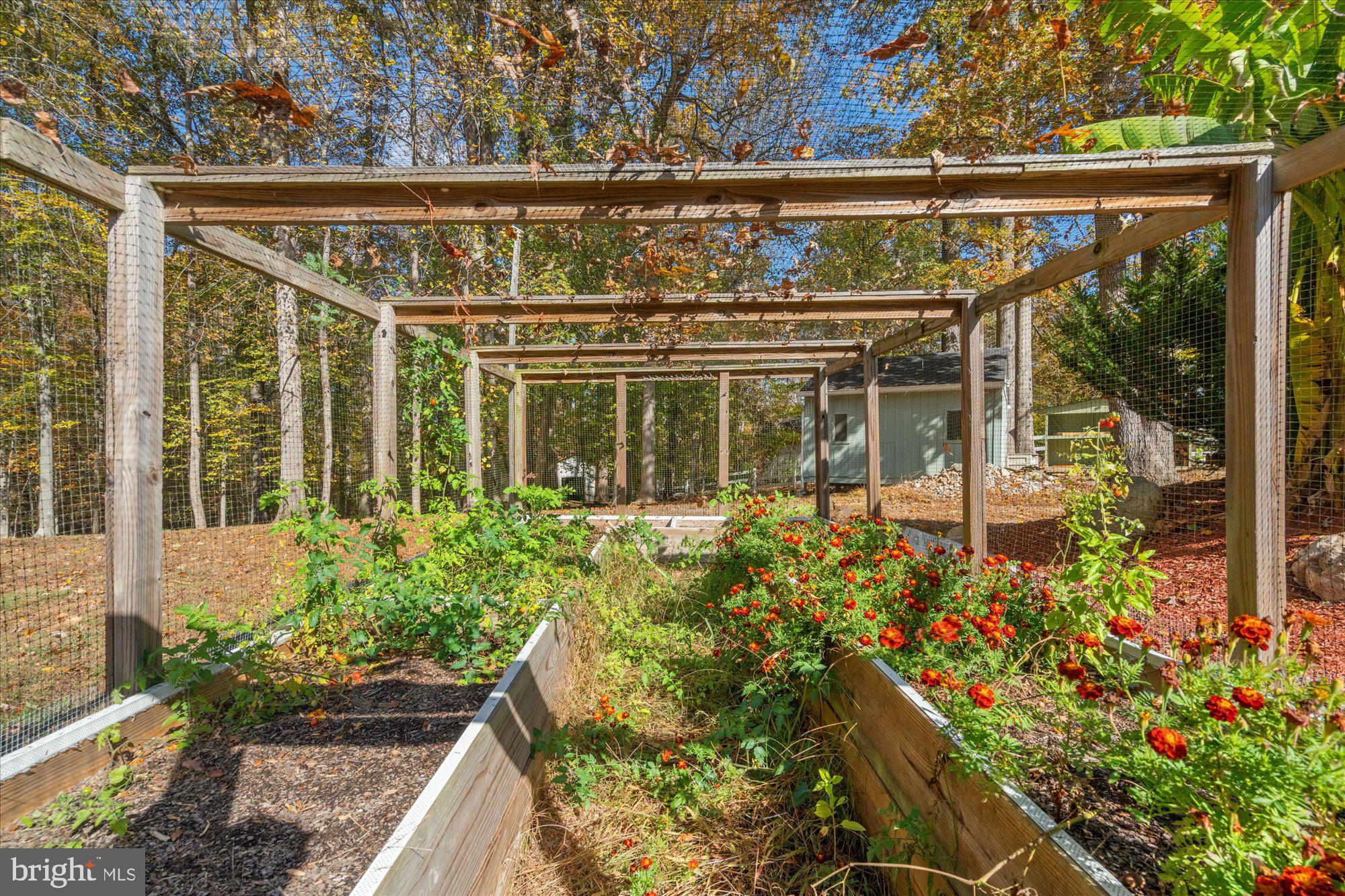 MINNIEVILLE MANOR - Residential