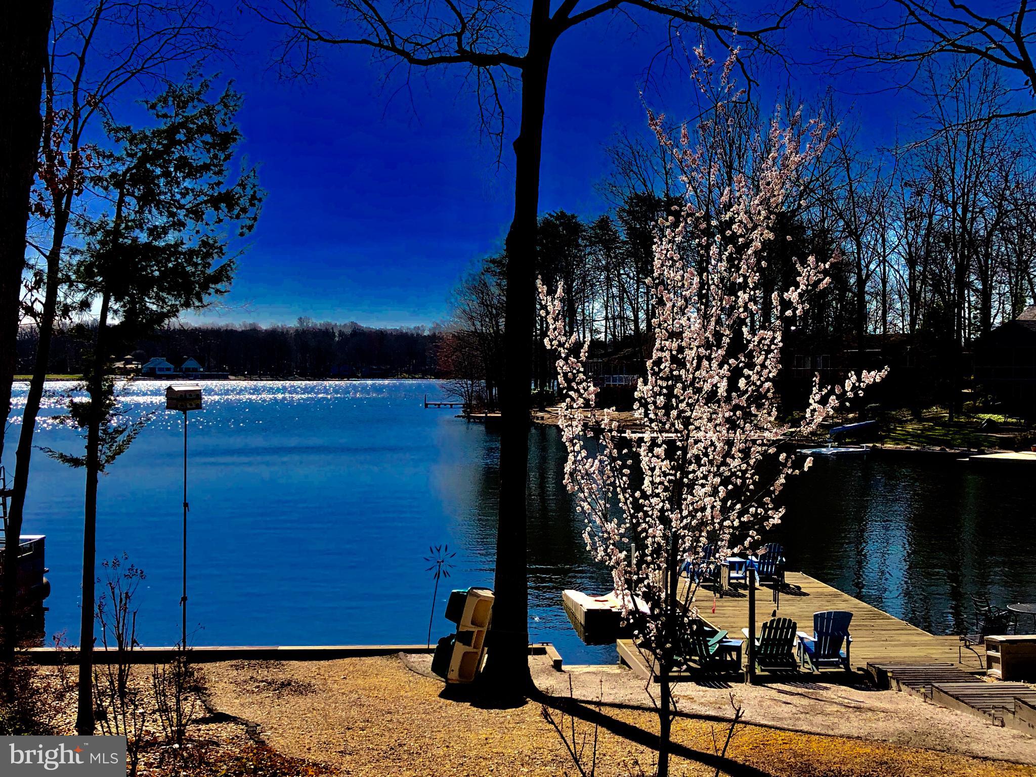 LAKE OF THE WOODS - Residential